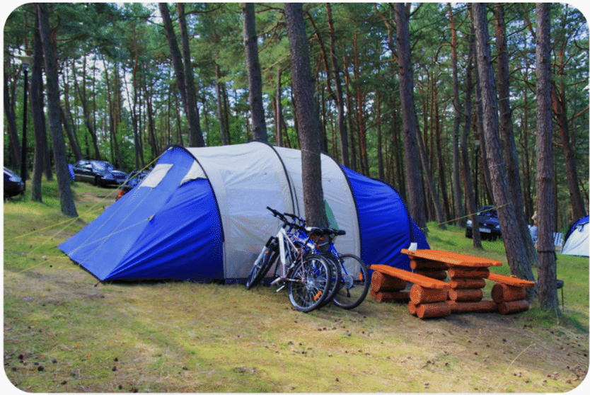 Namiot z rowerami i drewnianą ławką na Camping180 Stegna, pośród sosnowego lasu.